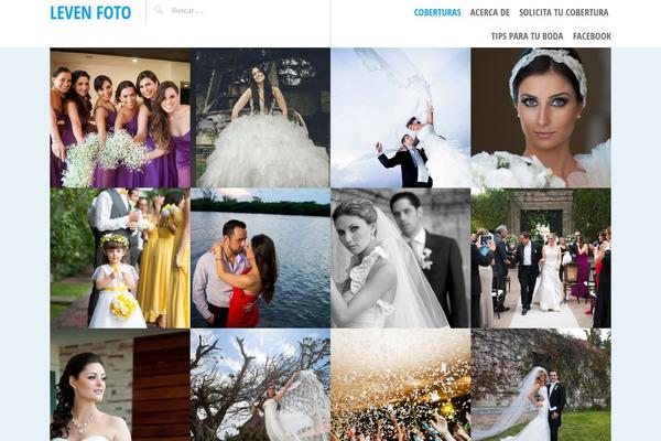 Pictorico theme site design template sample