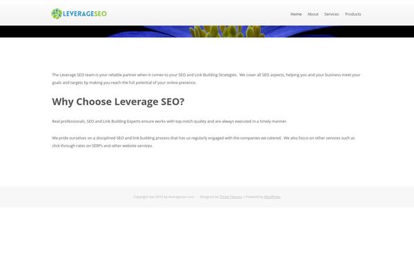 Ignition theme site design template sample
