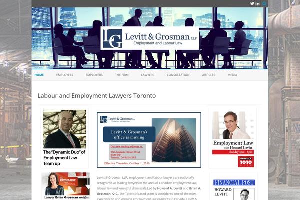 levittgrosman.com site used Architecto