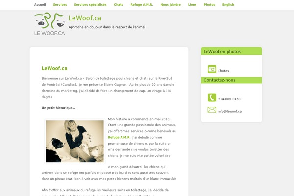 LuKoo theme site design template sample