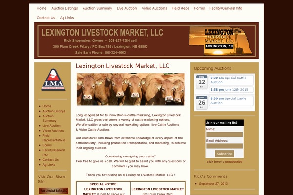 Lifestyle theme site design template sample