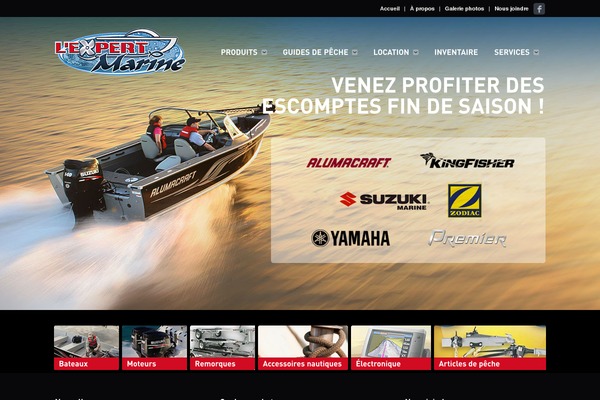 Vertigo theme site design template sample