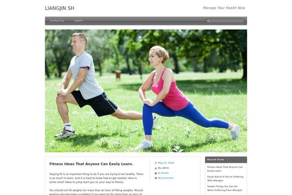 Silverclean Lite theme site design template sample