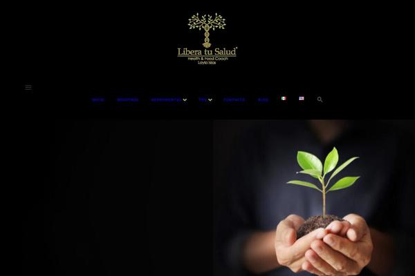 Site using Social Icons Widget by WPZOOM plugin