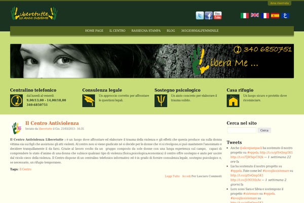 Ion theme site design template sample