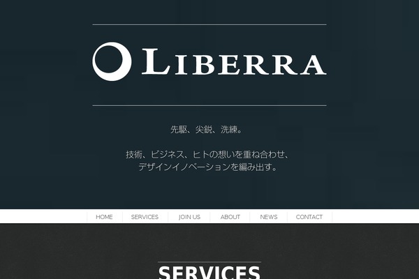 Scrn theme site design template sample