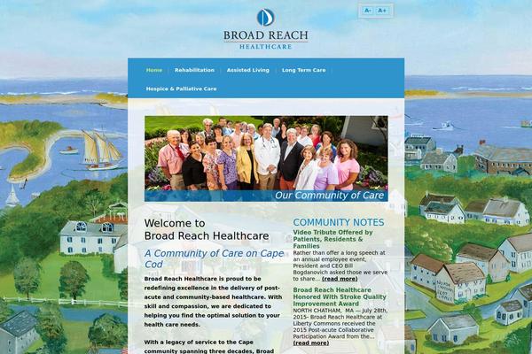 broadreachhealthcare theme websites examples