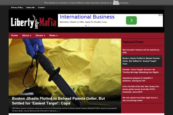 Magazinum theme site design template sample