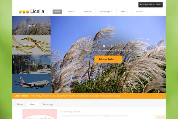 Rt_lexicon_wp theme site design template sample