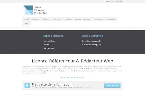 Metrolium theme site design template sample