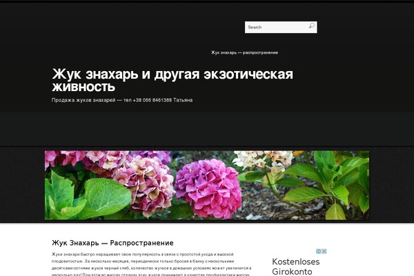Tyler theme site design template sample