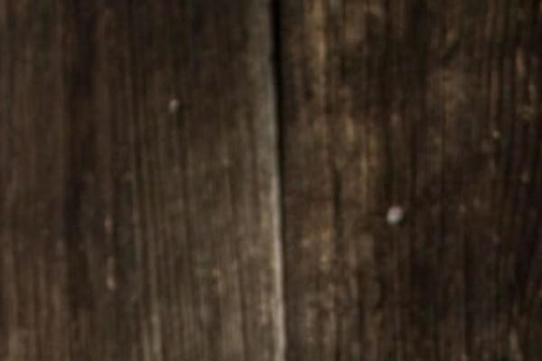 Villenoir theme site design template sample