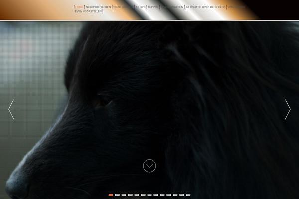 Site using AGP Font Awesome Collection plugin