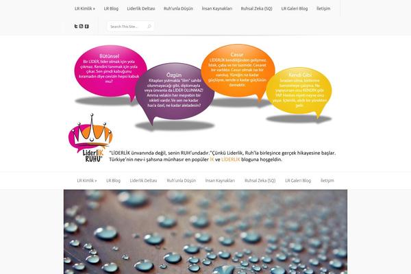 Site using Custom-about-author plugin