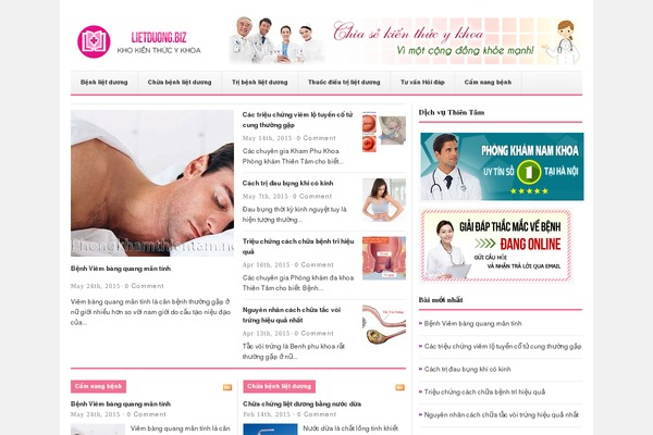 GoMedia theme site design template sample