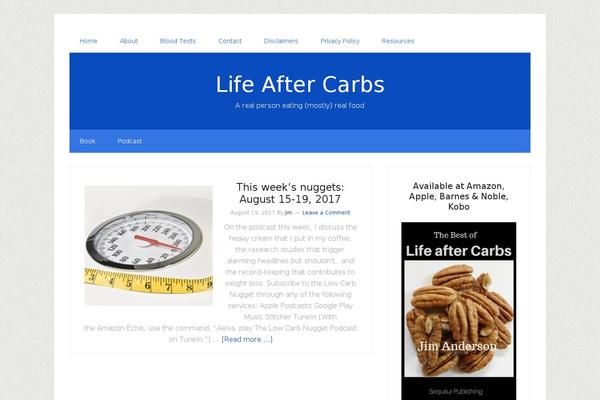 Lifestyle Pro theme site design template sample