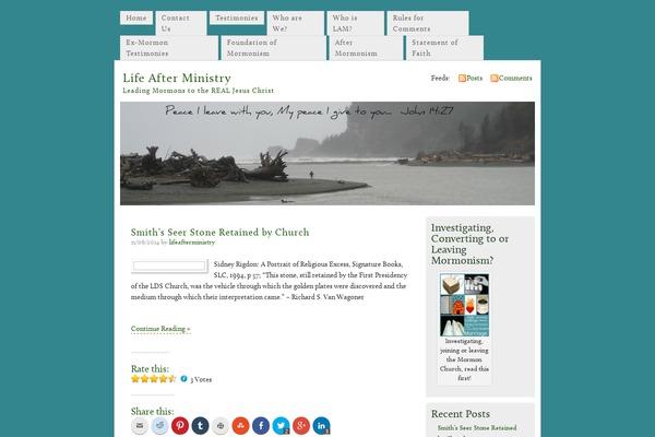 Misty Look theme site design template sample