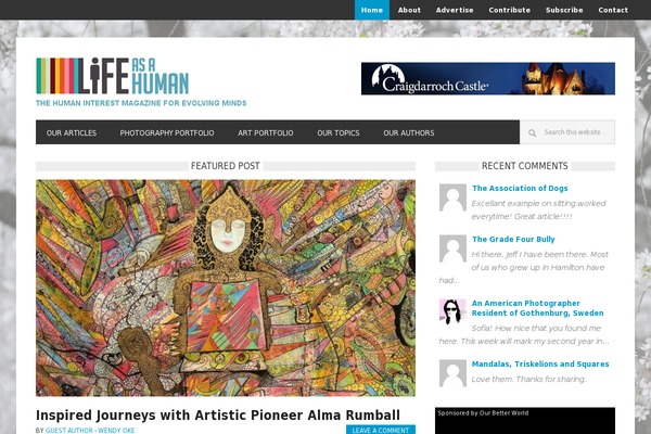 Site using Comments-widget-plus plugin