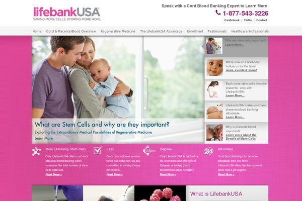 cmds_theme theme websites examples