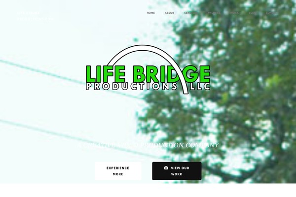 Momentum theme site design template sample