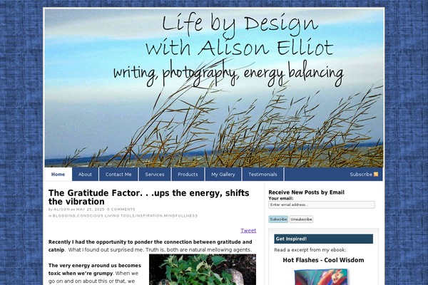 Site using Facebook-activity-feed-widget-for-wordpress plugin