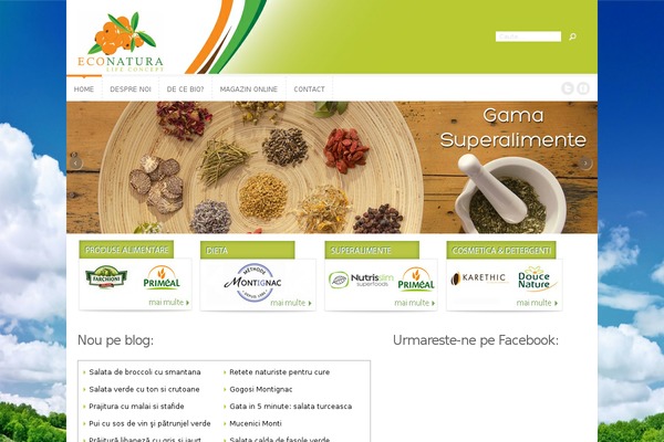 Trim theme site design template sample