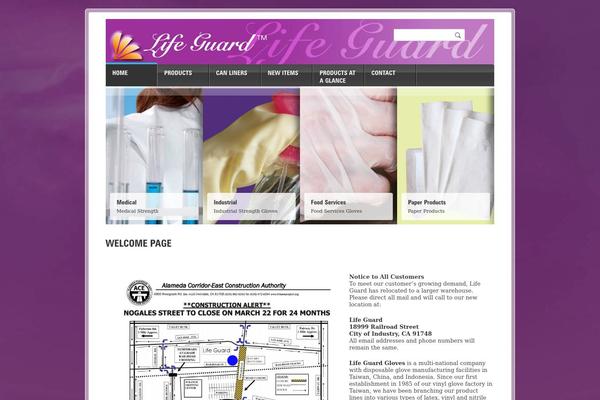 Corporate theme site design template sample