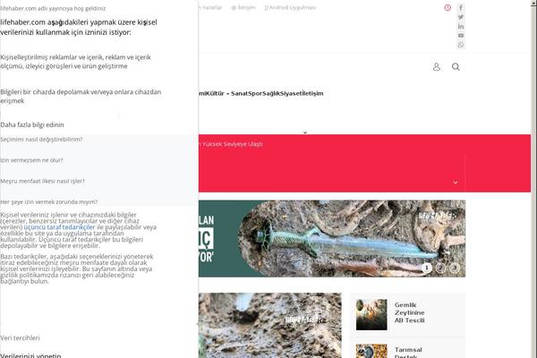 Site using Wp-consent-api plugin