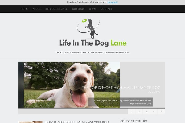Site using Easy Heads Up Bar plugin