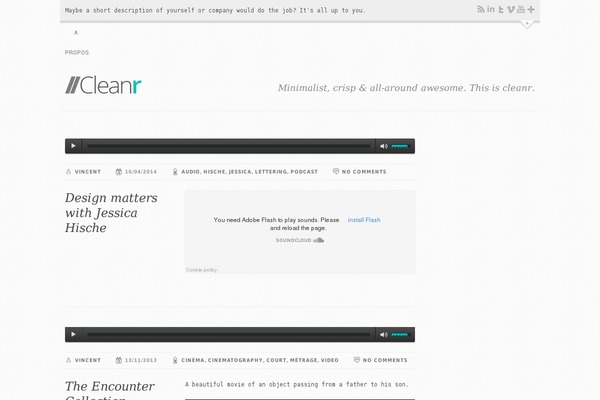 Cleanr theme site design template sample