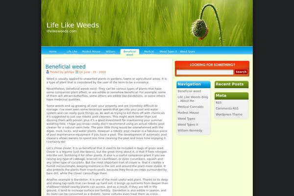 Zen theme site design template sample