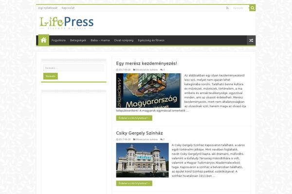 WordPress website example screenshot