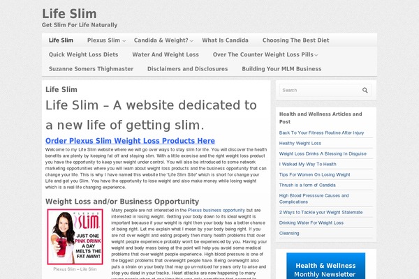 silverOrchid theme site design template sample