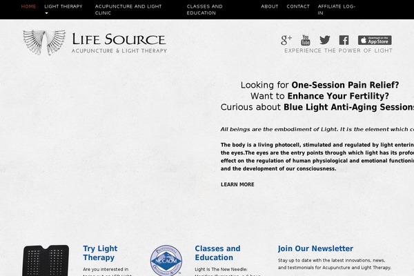 DMS theme site design template sample