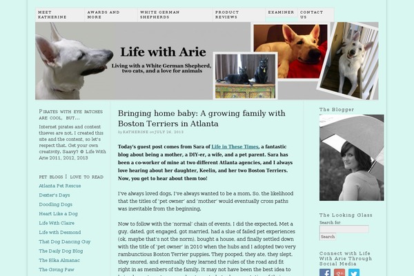 Squirrel theme site design template sample