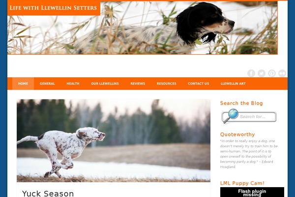 Site using Font Awesome Icons plugin