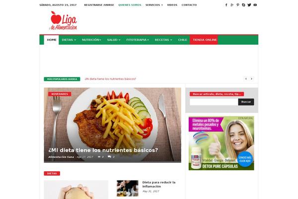 NewsMag theme site design template sample