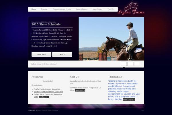 Twicet theme site design template sample
