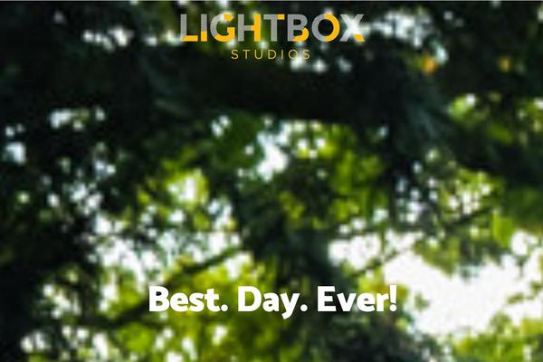 lightboxstudios.co.uk site used Dizy