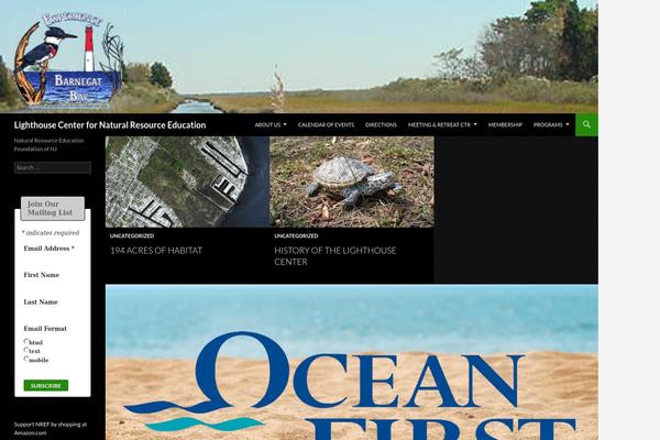 Rife Free theme site design template sample