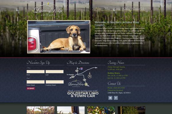 Metric theme site design template sample