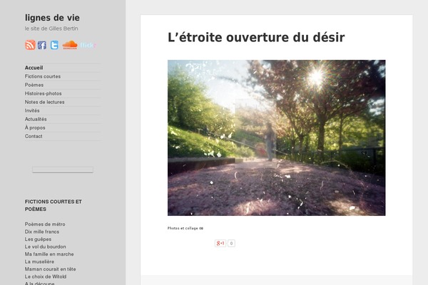 Site using Google Analyticator plugin