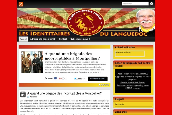 Site using Mailjet for WordPress plugin