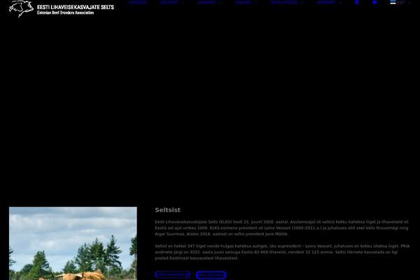 Avada Child Theme theme site design template sample