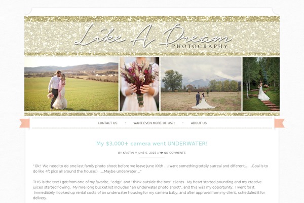 Sugar and Spice theme site design template sample