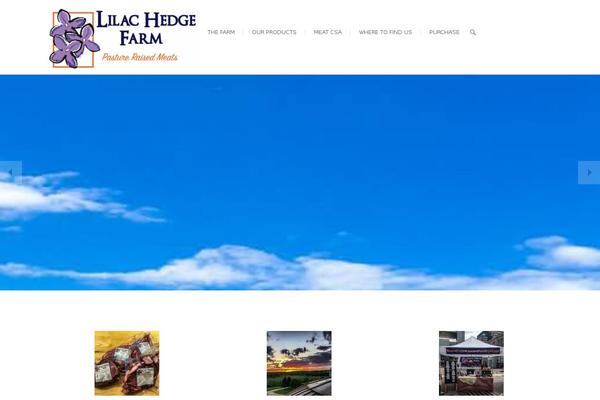 Arise theme site design template sample