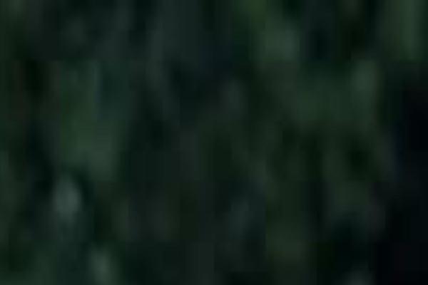 Pilcrow theme site design template sample