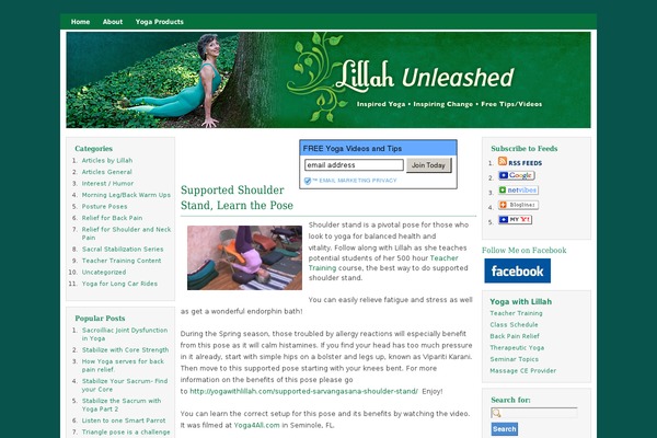 Cognoblue theme site design template sample