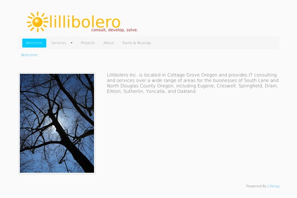Designfolio Pro theme site design template sample