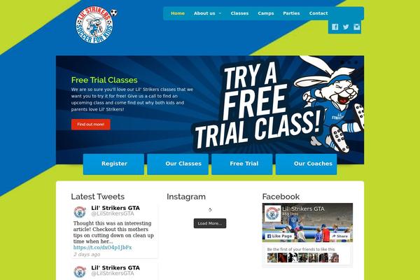 Pekaboo theme site design template sample
